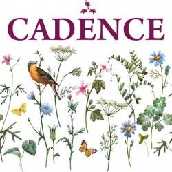 Cadence